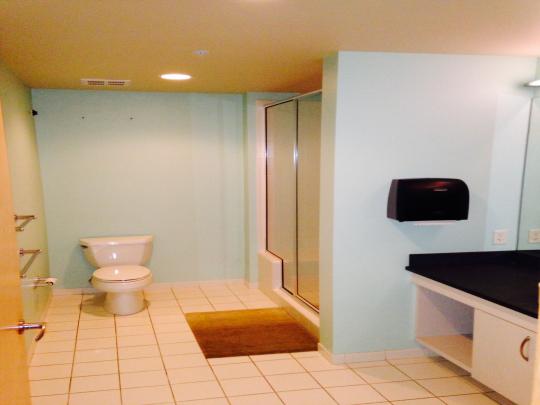 property1_Upper%20level%20Bath1739924712-6891381739924712-689138.jpeg